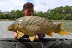 IMG-20200429-WA0010