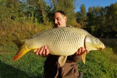 IMG-20201101-WA0005