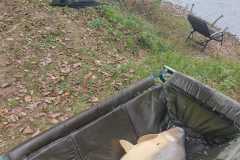 IMG-20211002-WA0013