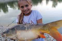 IMG-20220826-WA0013