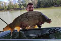IMG-20220921-WA0011