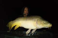 IMG-20221008-WA0017