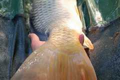 IMG-20230618-WA0006