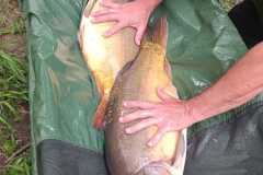 IMG-20230625-WA0004
