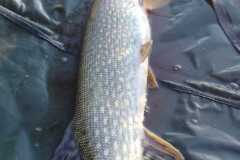 IMG-20221124-WA0008