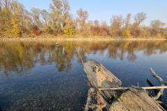 20211029_162726-Copy