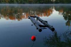 FB_IMG_1668185444434