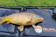 IMG-20210529-WA0025