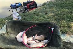 IMG-20210914-WA0021