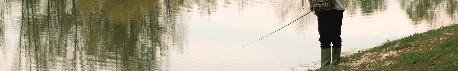 Zabrana ribolova – Sava  6.9.2020.